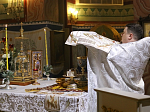 Праздничное Рождественское богослужение в Свято-Ильинском кафедральном соборе г. Россошь