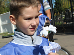 Велопробег, приуроченный к акции «Белый цветок» в Острогожске