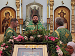 Жители Каменки молитвенно встретили праздник Святой Троицы
