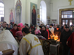 Епископ Россошанский и Острогожский Андрей в Калачеевском благочинии