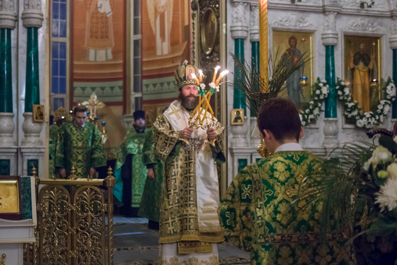 Епископ Россошанский и Острогожский Андрей совершил Всенощное бдение и освятил вайи