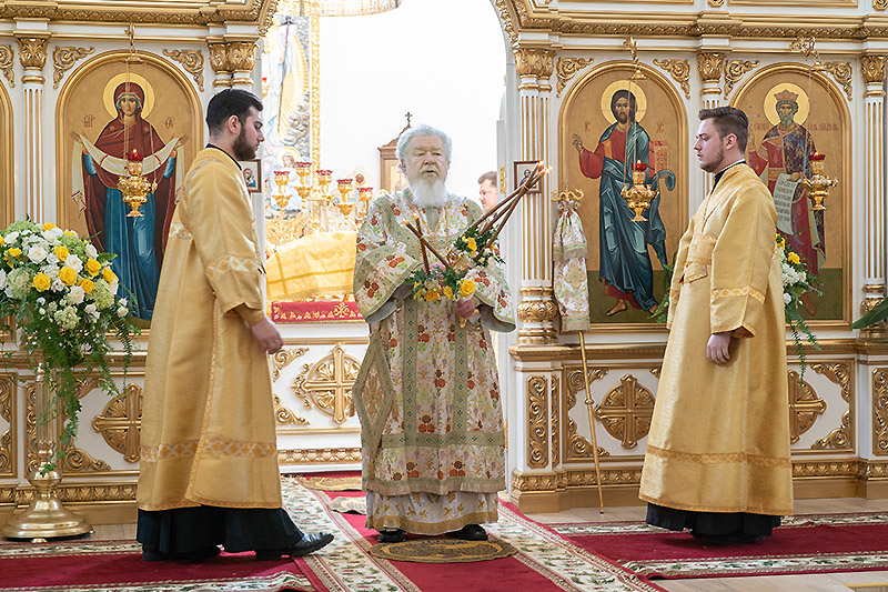 Митрополит Воронежский и Лискинский Сергий возглавил богослужение в день престольного праздника Владимирского храма