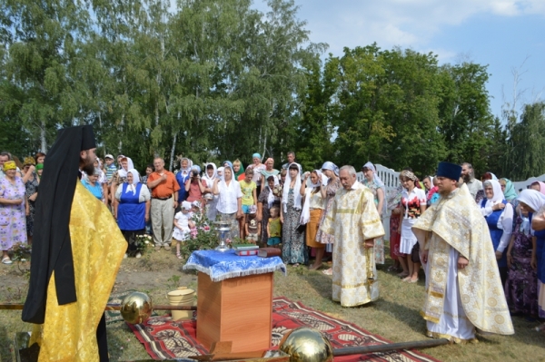 Освящение куполов и крестов Покровского Храма с.Шапошниковка