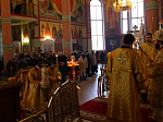 Епископ Россошанский и Острогожский Андрей принял поздравления в День своего тезоименитства