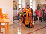Ковчег с честными мощами новомучеников и исповедников Церкви Русской встречен в Богучарском благочинии