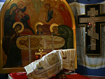 В праздник Рождества Христова епископ Россошанский и Острогожский Дионисий совершил Божественную литургию в Ильинском кафедральном соборе