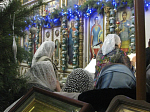 Рождество Христово в Богучаре
