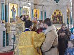Преосвященнейший Андрей, епископ Россошанский и Острогожский, совершил Божественную литургию в кафедральном соборе Россоши