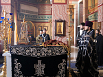 Епископ Россошанский и Острогожский Андрей совершил вечерню с Чином выноса Плащаницы