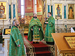 Божественная литургия в день памяти прп. Саввы Освященного