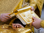 Состоялась хиротония архимандрита Дионисия (Шумилина) во епископа Россошанского и Острогожского