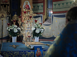 Праздничное богослужение в день Введения во храм Пресвятой Богородицы в Свято-Ильинском соборе г. Россошь