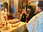 Епископ Россошанский и Острогожский Андрей сослужил Святейшему Патриарху Сербскому Иринею за богослужением на Подворье Сербской Православной Церкви в Москве