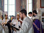 Епископ Россошанский и Острогожский Андрей совершил Царские часы в Ильинском кафедральном соборе