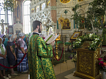 Архипастырь совершил Божественную литургию в День Святой Троицы