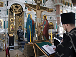 Епископ Россошанский и Острогожский Андрей совершил утреню Великого Пятка с чтением двенадцати Страстных Евангелий