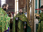В  Вербное воскресенье епископ Россошанский и Острогожский Андрей совершил Божественную литургию в Ильинском соборе