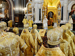 Глава Россошанской епархии сослужил Предстоятелю Русской Православной Церкви