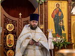 В день Святого Духа митрополит Воронежский и Лискинский Сергий посетил Троицкий храм в микрорайоне Боровое