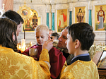 В Неделю мясопустную, о Страшном суде, епископ Россошанский и Острогожский Андрей совершил Божественную литургию