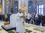 Епископ Россошанский и Острогожский Андрей сослужил Главе митрополии в Покровском кафедральном соборе г. Воронежа
