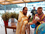 В Неделю ваий в Рождественском храме совершили праздничные богослужения