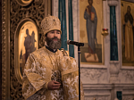 Глава Россошанской епархии совершил Божественную литургию в святую ночь Богоявления