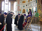 Духовенство и миряне Россошанской епархии поздравили своего Архипастыря с Днем рождения