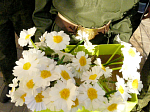 «Белый цветок» у юных острогожских кадетов-казаков