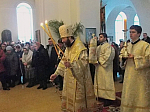 Епископ Россошанский и Острогожский Андрей посетил Верхнемамонское благочиние