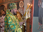 Престольный праздник в монастыре Преподобного Прохора Пчиньского Мироточивого в Сербии
