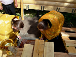 В Нижнем Мамоне освятили закладной камень для строящегося храма