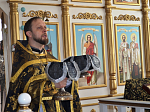 В храме Архангела Михаила с. Воронцовка было совершено соборное богослужение