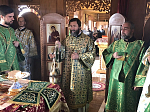 Архипастырское богослужение в Воскресенском Белогорском мужском монастыре