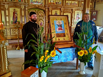 Крестный ход с иконой Божией Матери «Спорительница хлебов» достиг Русской Журавки