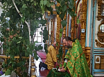 В храме Иоанна Богослова с. Нижний Мамон молитвенно встретили праздник Троицы