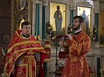 Священнослужители Россошанской епархии прибыли в кафедральный собор для совместной молитвы с Архипастырем