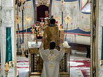 В день своего рождения Преосвященнейший епископ Андрей совершил Божественную литургию в кафедральном соборе