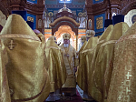 Торжественное архиерейское богослужение в день памяти святителя Антония, архиепископа Воронежского, совершено в Благовещенском кафедральном соборе