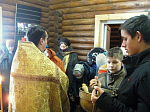 В Богучаре почтили память святителя Серафима (Соболева), архиепископа Богучарского