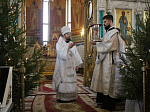 В Рождественский сочельник епископ Россошанский и Острогожский Дионисий совершил Литургию в Ильинском кафедральном соборе