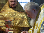 В день гражданского Новолетия Глава Воронежской митрополии совершил воскресное богослужение в Благовещенском кафедральном соборе