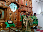 Архипастырь совершил Божественную литургию в день Престольного праздника храма св. Александра Невского в с. Петровка