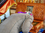 В Верхнемамонское благочиние прибыла святыня из Новомакарово