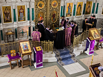 Глава Россошанской епархии совершил Таинство елеосвящения