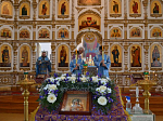 В Свято-Митрофановском храме была совершена «Похвала Пресвятой Богородицы»