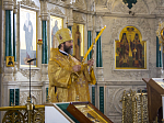 Правящий Архиерей представил нового клирика Ильинского кафедрального собора