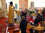 Епископ Россошанский и Острогожский Андрей посетил торжества, посвященные 150-летию храма святителя Митрофана