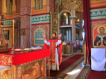 Православные христиане празднуют память священномученика целителя Пантелеймона