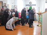 Вербное воскресение на приходе Казанского храма